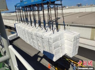 世界最大纸浆船靠港巴西桑托斯港将驶往中国