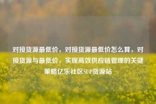 对接货源最低价,对接货源最低价怎么算,对接货源与最低价,实现高效供应链管理的关键策略亿乐社区SUP货源站