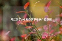 网红助手24小时自助下单软件免费版