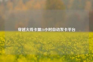 穿越火线卡盟24小时自动发卡平台