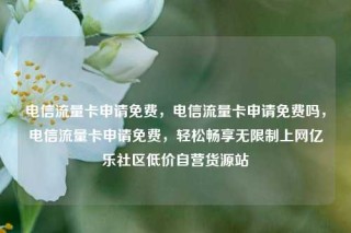 电信流量卡申请免费,电信流量卡申请免费吗,电信流量卡申请免费,轻松畅享无限制上网亿乐社区低价自营货源站