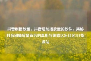 抖音刷播放量,抖音增加播放量的软件,揭秘抖音刷播放量背后的真相与策略亿乐社区SUP货源站