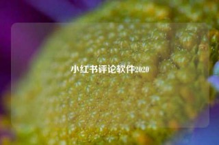 小红书评论软件2020