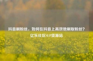 抖音刷粉丝,如何在抖音上高效地刷取粉丝?亿乐社区SUP货源站