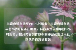抖音点赞自助平台24小时服务,抖音点赞自助平台24小时服务在哪里,抖音点赞自助平台24小时服务,提升内容创作效率的秘密武器亿乐社区低价自营货源站