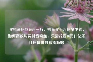 买抖音粉丝10元一万,抖音买十万粉多少钱,如何高效购买抖音粉丝,只需花费10元!亿乐社区低价自营货源站