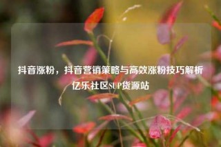 抖音涨粉,抖音营销策略与高效涨粉技巧解析亿乐社区SUP货源站