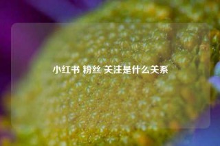 小红书 粉丝 关注是什么关系