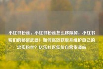 小红书粉丝，小红书粉丝怎么移除掉，小红书粉们的秘密武器！如何高效获取并维护自己的忠实粉丝？亿乐社区低价自营货源站