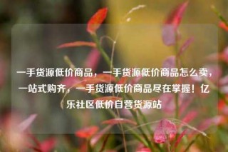 一手货源低价商品,一手货源低价商品怎么卖,一站式购齐,一手货源低价商品尽在掌握!亿乐社区低价自营货源站
