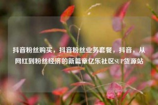 抖音粉丝购买,抖音粉丝业务套餐,抖音,从网红到粉丝经济的新篇章亿乐社区SUP货源站