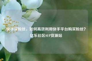 快手买粉丝,如何高效利用快手平台购买粉丝?亿乐社区SUP货源站