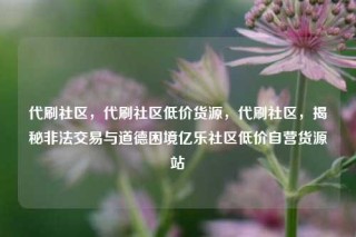代刷社区，代刷社区低价货源，代刷社区，揭秘非法交易与道德困境亿乐社区低价自营货源站