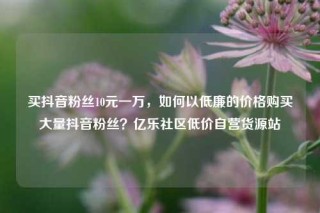 买抖音粉丝10元一万,如何以低廉的价格购买大量抖音粉丝?亿乐社区低价自营货源站