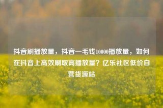 抖音刷播放量,抖音一毛钱10000播放量,如何在抖音上高效刷取高播放量?亿乐社区低价自营货源站