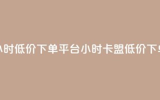 卡盟24小时低价下单平台(24小时卡盟低价下单平台)