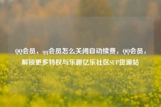 QQ会员,qq会员怎么关闭自动续费,QQ会员,解锁更多特权与乐趣亿乐社区SUP货源站
