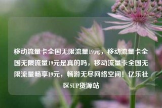 移动流量卡全国无限流量19元,移动流量卡全国无限流量19元是真的吗,移动流量卡全国无限流量畅享19元,畅游无尽网络空间!亿乐社区SUP货源站