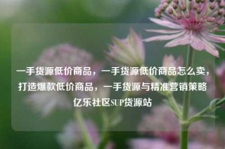 一手货源低价商品,一手货源低价商品怎么卖,打造爆款低价商品,一手货源与精准营销策略亿乐社区SUP货源站