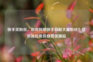 快手买粉丝,如何利用快手获取大量粉丝?亿乐社区低价自营货源站