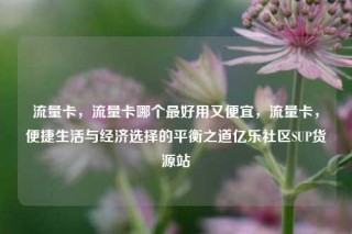 流量卡,流量卡哪个最好用又便宜,流量卡,便捷生活与经济选择的平衡之道亿乐社区SUP货源站