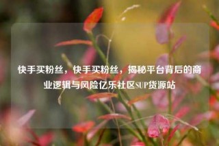 快手买粉丝,快手买粉丝,揭秘平台背后的商业逻辑与风险亿乐社区SUP货源站