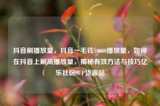 抖音刷播放量,抖音一毛钱10000播放量,如何在抖音上刷高播放量,揭秘有效方法与技巧亿乐社区SUP货源站