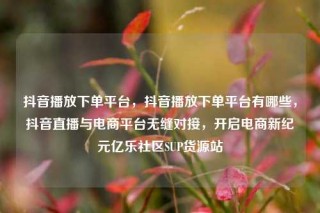抖音播放下单平台,抖音播放下单平台有哪些,抖音直播与电商平台无缝对接,开启电商新纪元亿乐社区SUP货源站