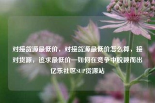 对接货源最低价,对接货源最低价怎么算,接对货源,追求最低价—如何在竞争中脱颖而出亿乐社区SUP货源站