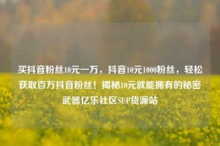 买抖音粉丝10元一万,抖音10元1000粉丝,轻松获取百万抖音粉丝!揭秘10元就能拥有的秘密武器亿乐社区SUP货源站