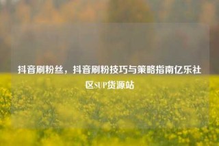 抖音刷粉丝,抖音刷粉技巧与策略指南亿乐社区SUP货源站