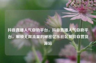 抖音直播人气自助平台,抖音直播人气自助平台,解锁无限流量的秘密亿乐社区低价自营货源站