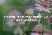 抖音刷粉丝，如何有效利用抖音刷粉丝？亿乐社区低价自营货源站