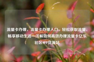 流量卡办理,流量卡办理入口,轻松获取流量,畅享移动生活—详解如何高效办理流量卡亿乐社区SUP货源站