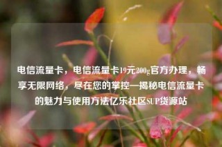 电信流量卡，电信流量卡19元200g官方办理，畅享无限网络，尽在您的掌控—揭秘电信流量卡的魅力与使用方法亿乐社区SUP货源站