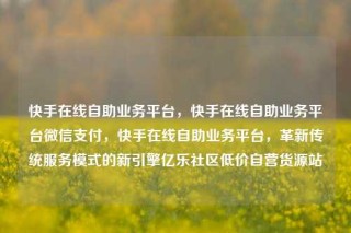 快手在线自助业务平台,快手在线自助业务平台微信支付,快手在线自助业务平台,革新传统服务模式的新引擎亿乐社区低价自营货源站
