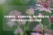 抖音刷粉丝，抖音刷粉攻略，如何高效提升你的粉丝数量亿乐社区SUP货源站