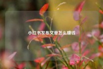 小红书发布文章怎么赚钱