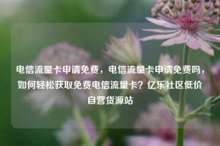 电信流量卡申请免费,电信流量卡申请免费吗,如何轻松获取免费电信流量卡?亿乐社区低价自营货源站