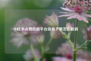小红书点赞自助平台业务下单怎么取消