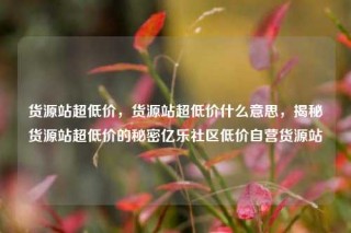 货源站超低价,货源站超低价什么意思,揭秘货源站超低价的秘密亿乐社区低价自营货源站