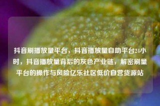 抖音刷播放量平台,抖音播放量自助平台24小时,抖音播放量背后的灰色产业链,解密刷量平台的操作与风险亿乐社区低价自营货源站
