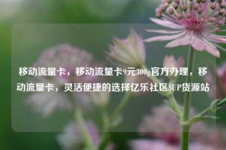 移动流量卡,移动流量卡9元300g官方办理,移动流量卡,灵活便捷的选择亿乐社区SUP货源站