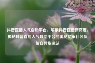 抖音直播人气自助平台，解锁抖音直播新高度，揭秘抖音直播人气自助平台的奥秘亿乐社区低价自营货源站