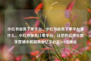 小红书业务下单平台,小红书业务下单平台是什么,小红书业务订单平台,让您的品牌在数字营销中脱颖而出亿乐社区SUP货源站