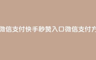 快手秒赞入口微信支付 - 快手秒赞入口微信支付方式详解。