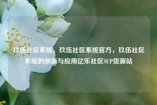 玖伍社区系统,玖伍社区系统官方,玖伍社区系统的创新与应用亿乐社区SUP货源站