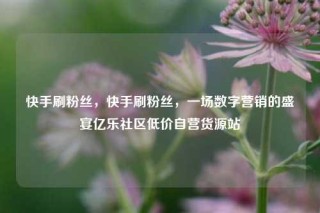 快手刷粉丝，快手刷粉丝，一场数字营销的盛宴亿乐社区低价自营货源站