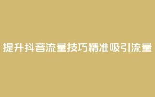 提升抖音流量技巧，精准吸引流量