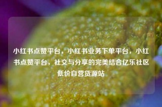 小红书点赞平台，小红书业务下单平台，小红书点赞平台，社交与分享的完美结合亿乐社区低价自营货源站